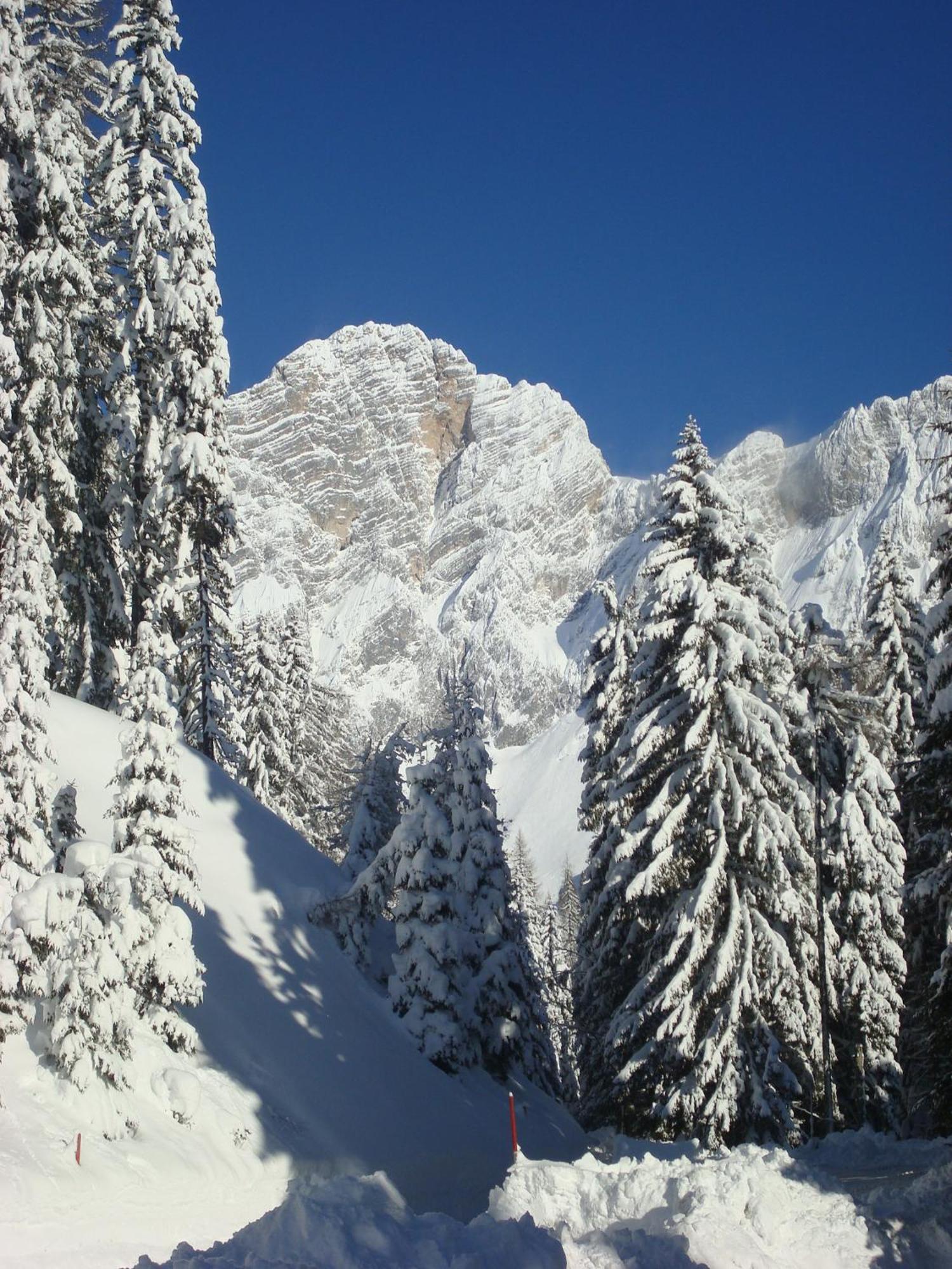 Bergerhof Hotell Ramsau am Dachstein Exteriör bild